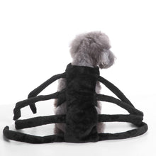 Load image into Gallery viewer, Dogs Halloween Spider