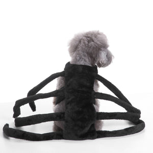 Dogs Halloween Spider